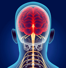 ilustrácia nervových kanálov krčnej chrbtice