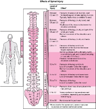 choroby v tele spojené s poškodením rôznych častí chrbtice